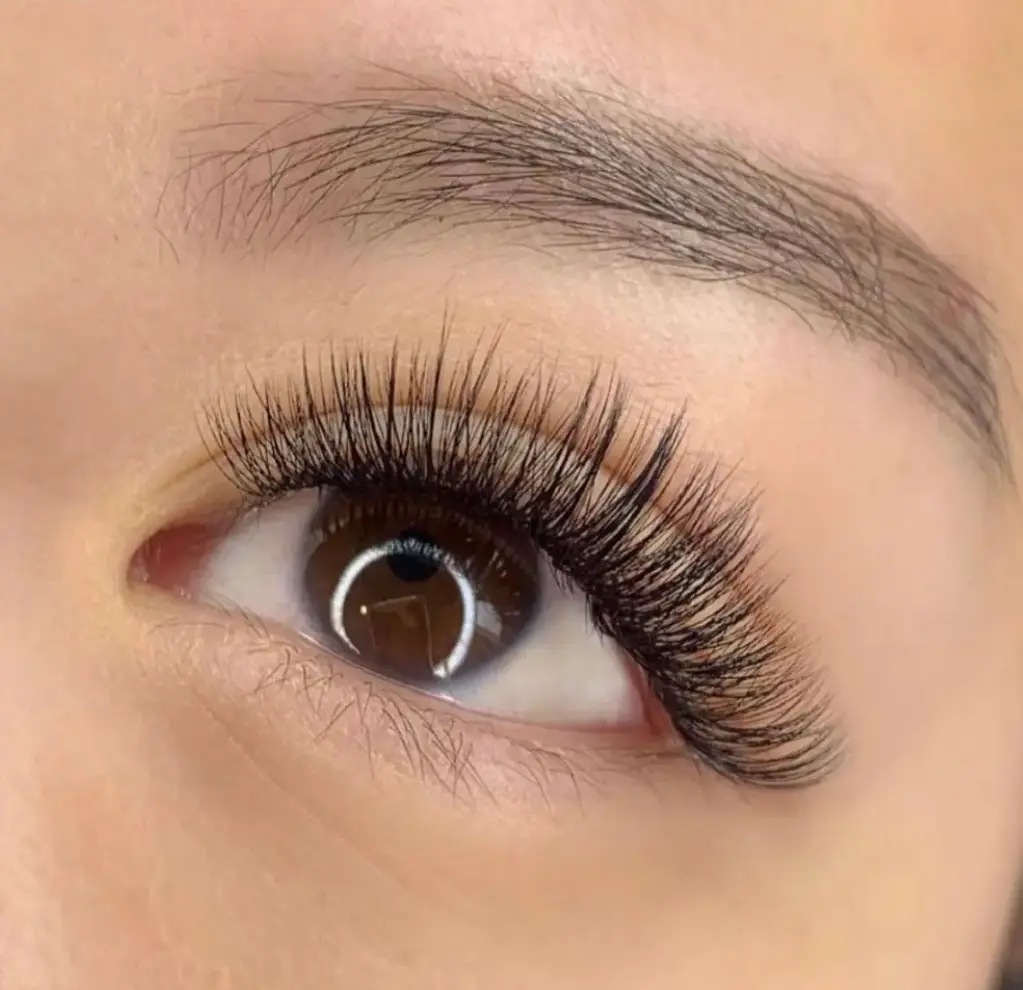 Eyelash Extension - Normal